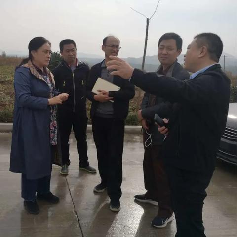 蒙阴城区最新规划揭秘，详解未来发展蓝图