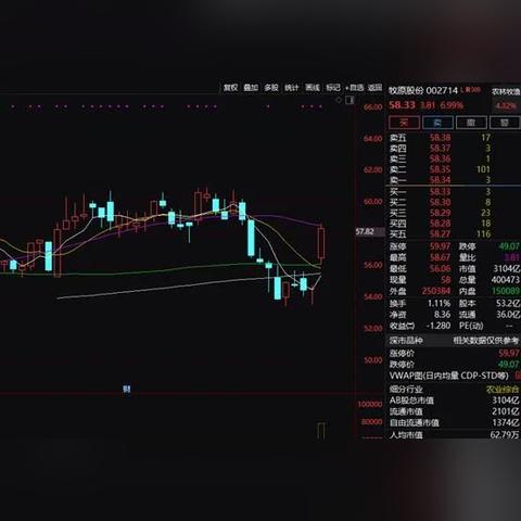 民和股份最新公告解读，最新动态全面解析