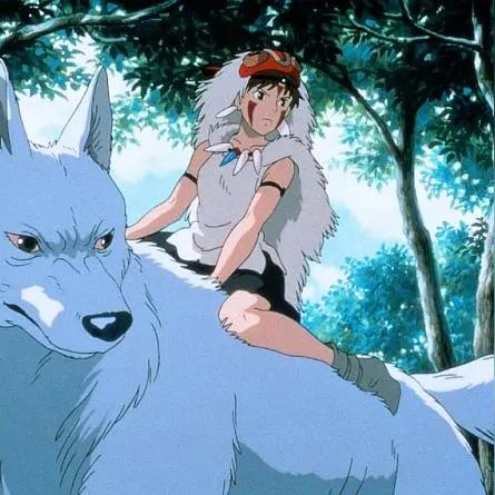 最新电影在线播放网址，畅享影视魅力