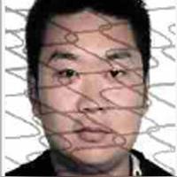 禹州老赖最新动态解析，最新情况分析