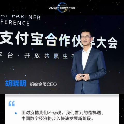 老猪最新作品揭秘，数字背后的故事