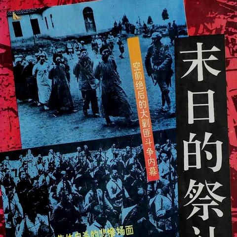 末日余晖,深度解析2025最新丧尸电影