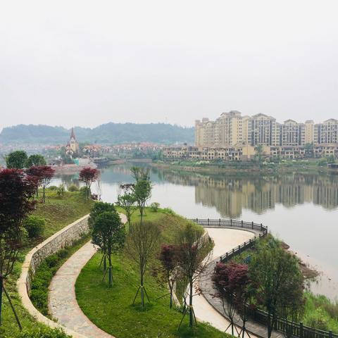 南川最新楼盘全面解析，最新楼盘介绍与解读