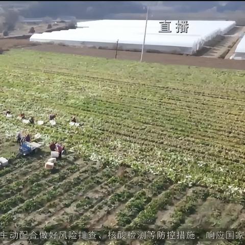 正宁最新新闻报道,时事动态更新