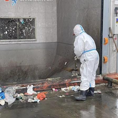 在家点点报道，数字化生活新趋势与数据洞察揭秘