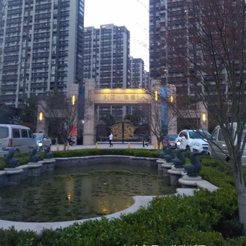 仙林东最新利好，投资热土深度解析