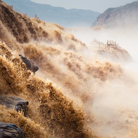 外滩森林最新资讯更新,关注最新动态