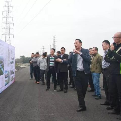 外滩森林最新资讯更新,关注最新动态