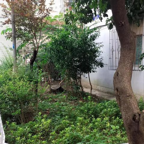 宁波物业排名,解读现状与发展趋势