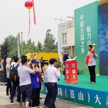 苍山蒜头实时价格分析与行情更新