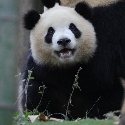 最新奶妈求职视频,行业现状与发展趋势揭秘