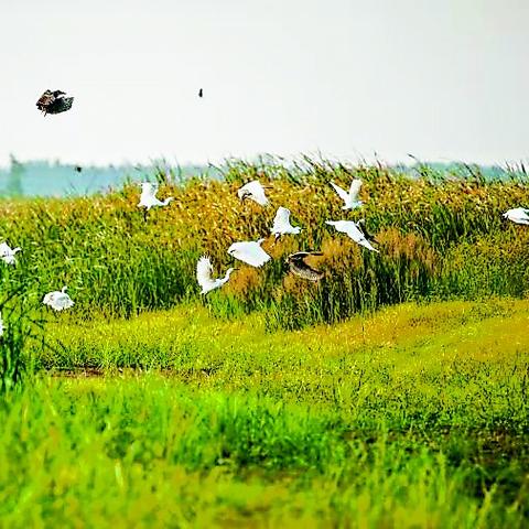 山东巨野现代化城市规划新标杆亮相