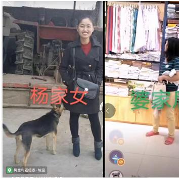 合肥最新跳楼事件深度纪实与反思