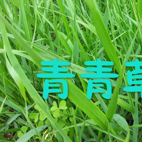 黄岛最新兼职招聘信息汇总