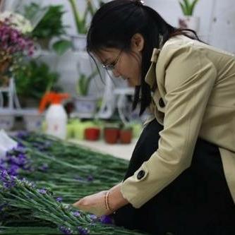 揭秘最新日赚团队的数字成功故事