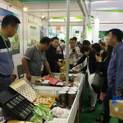 济宁大蒜价格实时更新及分析