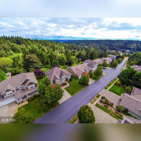 Zoo类网站最新深度解析与概览