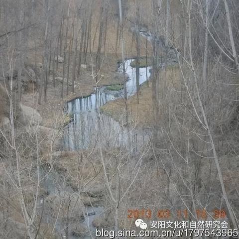 安阳水泥价格最新动态及分析