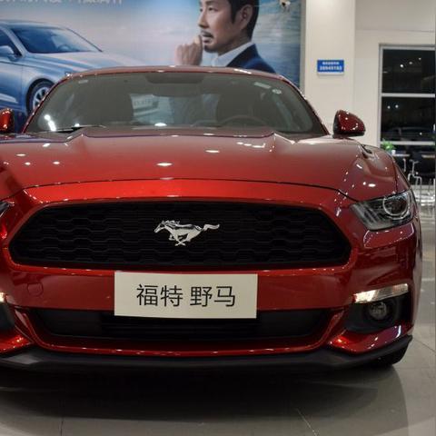 揭秘偏门月入十万最新高收入途径