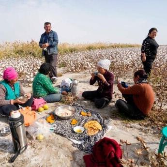 最新采棉机技术革新与智能化趋势，效率提升引领未来采棉风潮