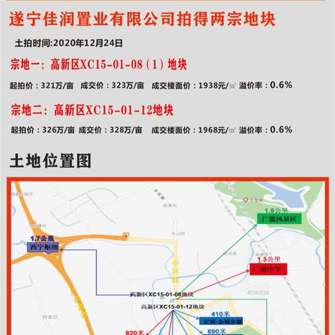 遂宁最新拍卖信息解析，最新成交速递