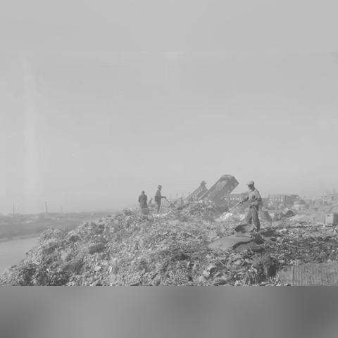 上海堆场最新联系方式及业务概览