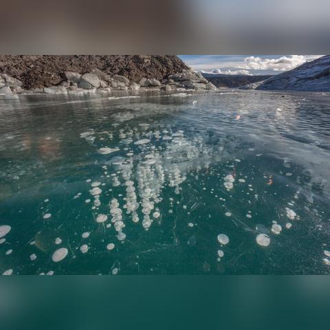 月下销魂幽冥幻梦，最新小说连载赏析