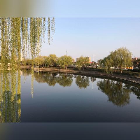 灌南房价走势揭秘，最新报价与深度分析