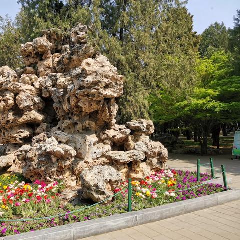 东单公园最新资讯,动态更新