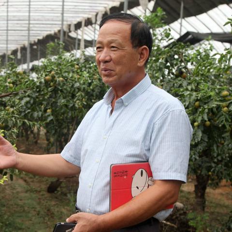 山西最新审定品种大揭秘,最新品种概览