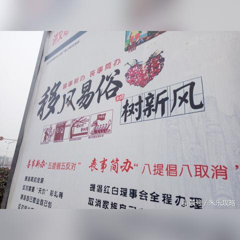 最新型花卉,科技与自然融合之美