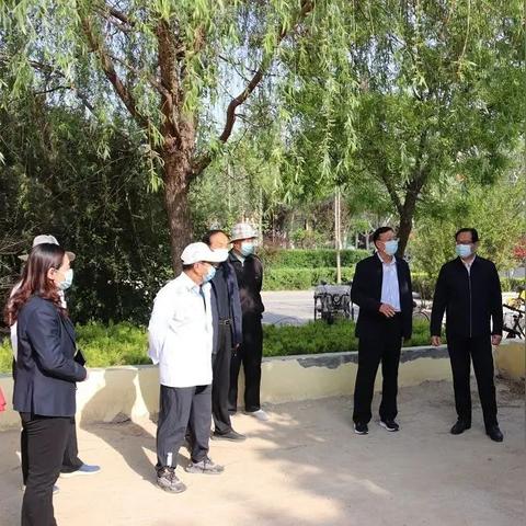 长寿门球杆革新,运动新体验